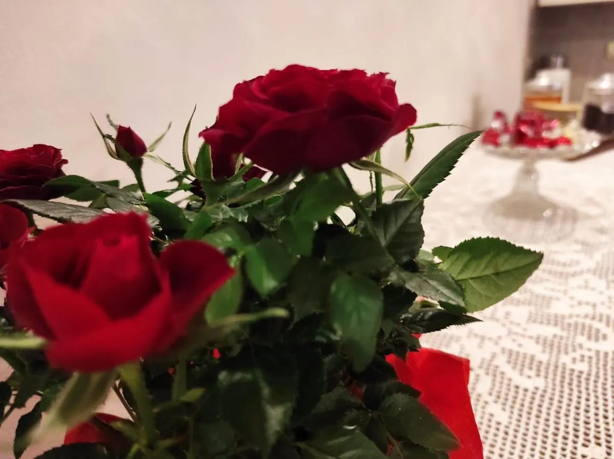 Apartmán La Casina Buonconvento Itálie